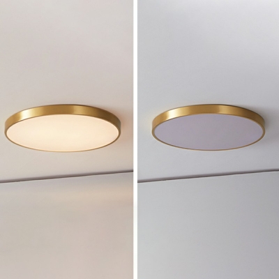 Modern Simple Geometry Metal Flush Mount Light Home Decoration Dimmable LED Light