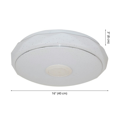 Ceiling Mounted Light 16