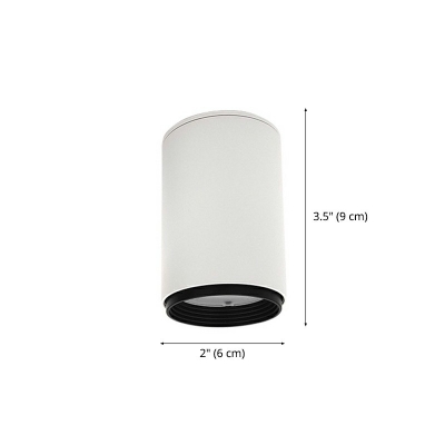 Cylinder Ceiling Flush Mount Modern Metal and Plastic Shade LED Light for Drawing Room