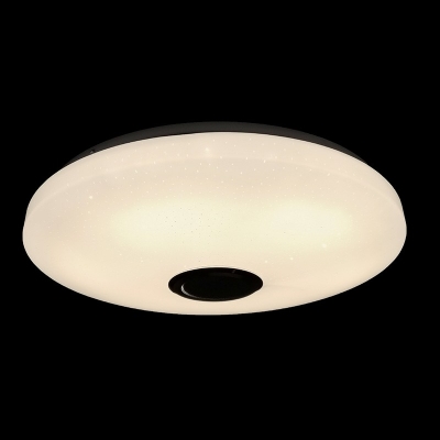 Round Flush Mount Light Contracted Dimmable Acrylic Shade LED Ceiling Light for Living Room, 15