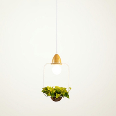 Industrial Square Shade Pendant Light 1 Light Plants Decorative Hanging Lamp  for Coffee Shop and Restaurant, without Plants
