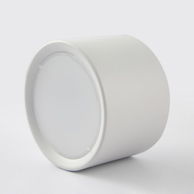 Modern Style Cylinder Shaped Flush Mount Light Metal 1 Light Ceiling Light for Clothing Store