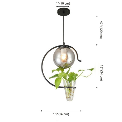 Industrial Style Globe Shade Pendant Light Glass 1 Light Plants Decorative Hanging Lamp, without Plants