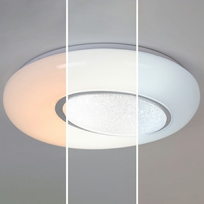 Oval Shape Ceiling Flush Mount Dimmable Modern Crystal and Acrylic Shade LED Light for Bedroom