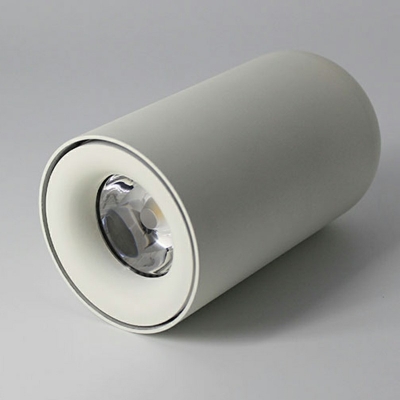 Contemporary Ceiling Light Cylinder Aluminum LED Light Ceiling Mount Flush for Bedroom