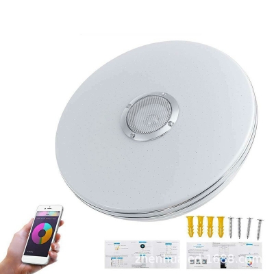 Contemporary Ceiling Light White Circle Acrylic Shade LED Light Ceiling Mount Flush in Stepless Dimming Light