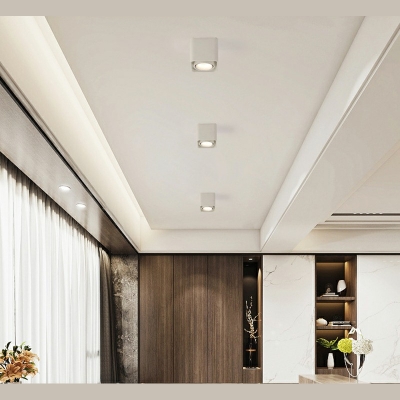 Modern Simple Metal Geometric Ceiling Light Single Light for Corridor and Aisle