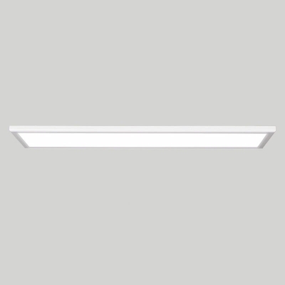 Modern Style LED Flush Mount Light Metal Acrylic Linear Flush Light for Office Mall