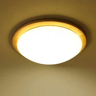 Dome Flush Ceiling Light 15