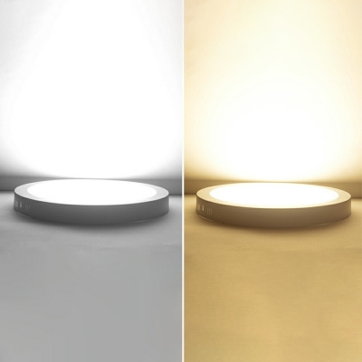 Modern Minimalist Metal Acrylic Ceiling Light Surface Mounted Downlight