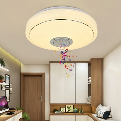 Ceiling Flush Mount Dimmable Modern Iron and Acrylic Shade LED Light for Bedroom, 13