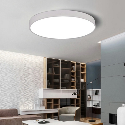 Disk Ceiling Mounted Fixture 2