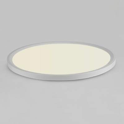 Modern and Simple LED Flushmount Light Minimalism Style Metal Acrylic Celling Light for Living Room