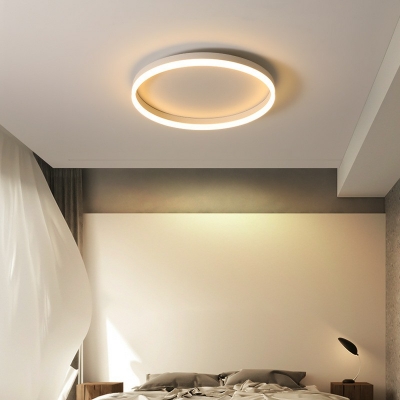 Modern Minimalist Metal Acrylic Led Ceiling Light for Hallway Corridor and Bedroom