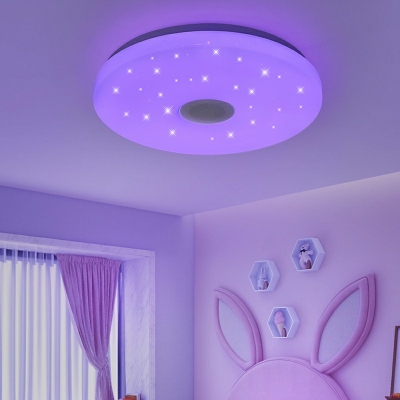 Modern Style LED Flushmount Light Minimalism Style Smart Remote Control Celling Light for Bedroom