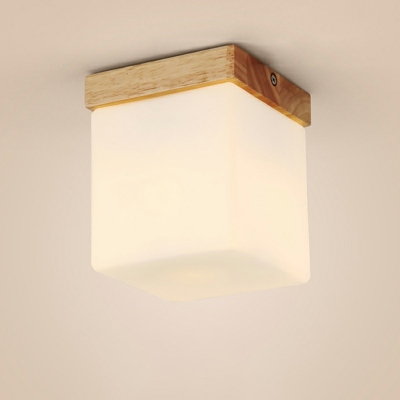 Modern Simple Wooden Acrylic Flush Mount Light for Corridor Bright Decoration LED Light