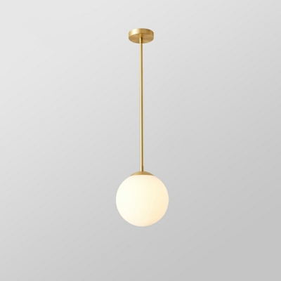 Modern and Simple Hanging Light Globe Metal Glass LED Pendant Light for Dinning Room Bar
