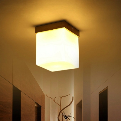 Modern Simple Wooden Acrylic Flush Mount Light for Corridor Bright Decoration LED Light