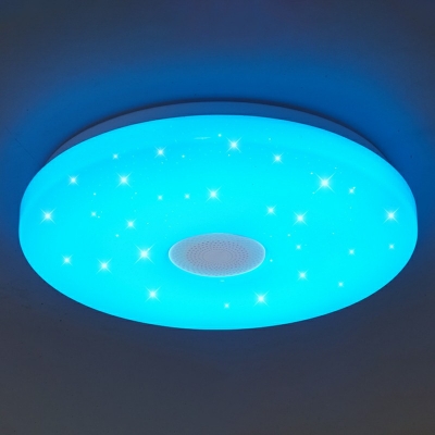 Modern Style LED Flushmount Light Minimalism Style Smart Remote Control Celling Light for Bedroom