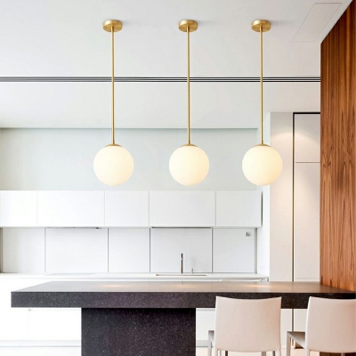 Modern and Simple Hanging Light Globe Metal Glass LED Pendant Light for Dinning Room Bar