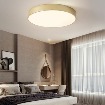Modern Simple Solid Color Metal Ceiling Light for Hall Bedroom and Kitchen