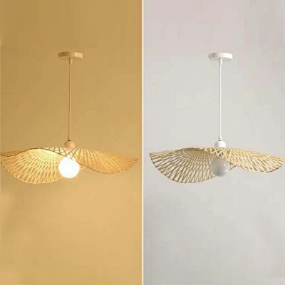 South-east Asia Pendants Light Modern Hanging Light Fixtures 1 Light For Living Room