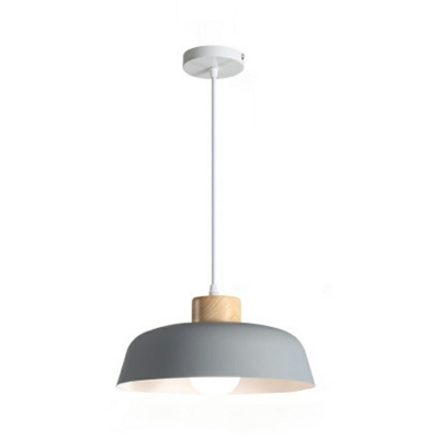 1 Light Dome Shade Hanging Light Modern Style Aluminum Pendant Light for Living Room