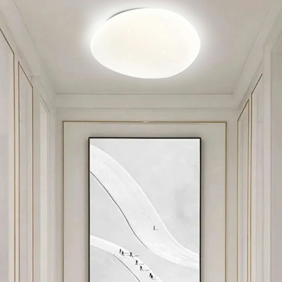 Contemporary Irregular Round Flush Mount Light Fixtures Acrylic and Metal Led Flush Light