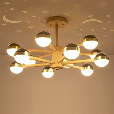 12 Lights Globe Shade Hanging Light Modern Style Acrylic Pendant Light for Living Room