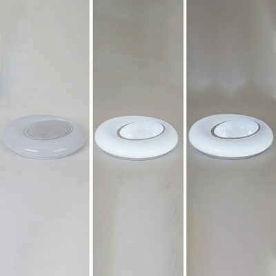 Oval Shaped LED Flushmount Light Modern Style Metal Glass Celling Light for Bedroom