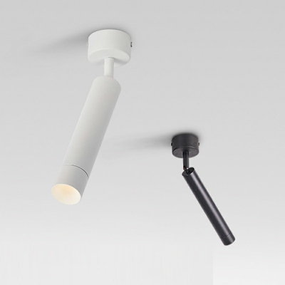 Minimalism Cylinder Flush Mount Lighting Fixtures Metal Flush Mount Lamp