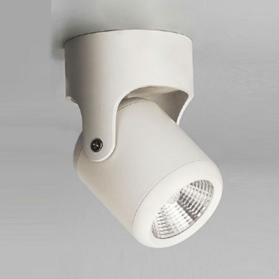 Minimalism Round Flush Mount Ceiling Light Fixtures Metal Flush Mount Lamp