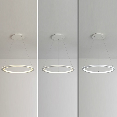 Minimalist Orbicular Suspended Lighting Fixture Metal Pendant Lighting Fixtures