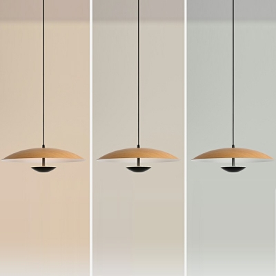 Metal Modern Hanging Pendnant Lamp Minimalist LED Ceiling Light for Dinning Room