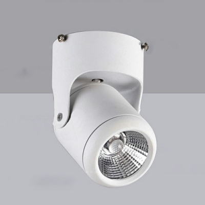 Minimalism Round Flush Mount Ceiling Light Fixtures Metal Flush Mount Lamp
