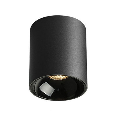 Contemporary Cylinder Flush Mount Ceiling Light Fixtures Metal Flush Mount Lamp