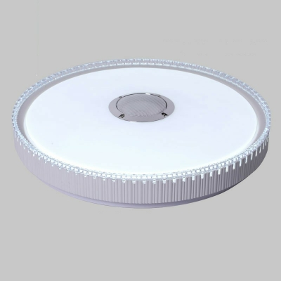 Modern Style LED Flushmount Light Minimalism Style Metal Acrylic Celling Light for Bedroom