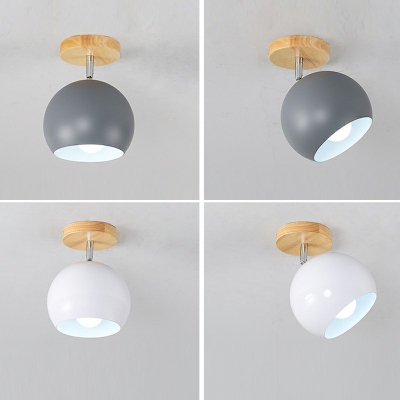 1-Light Semi Flush Mount Light Minimalist Style Globe Shape Metal Ceiling Mounted Fixture