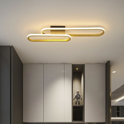 2-light Ceiling Mounted Fixture Modern Style Oval Shape Metal Flush Mount Lighting