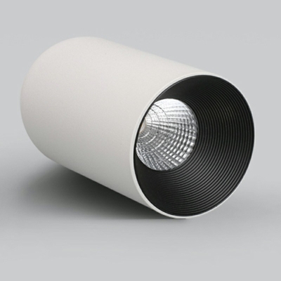 Minimalism Cylinder Flush Mount Ceiling Light Fixtures Metal Flush Mount Lamp