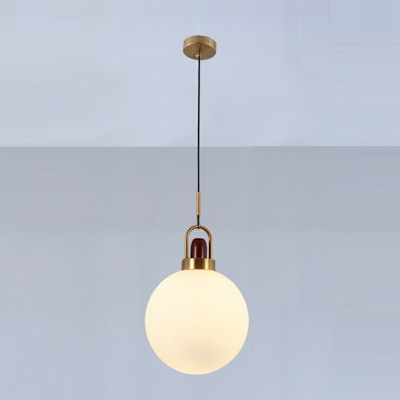 Pendant Light Kit Modern Style Glass Hanging Ceiling Light for Living Room