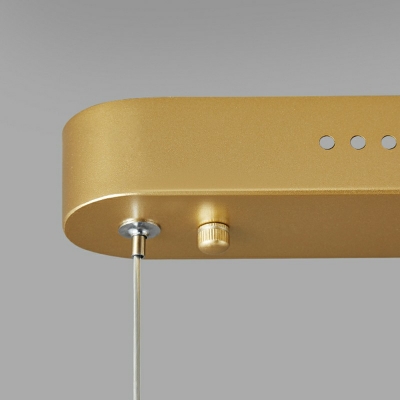 Modern Chandelier Light Fixtures Gold Color Pendant Lights for Dining Room