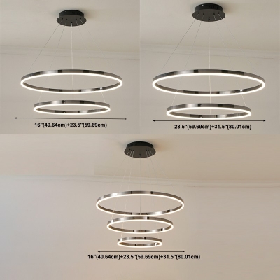Minimalist Metal Chandelier Lighting Fixtures Orbicular Suspended Lighting Fixture