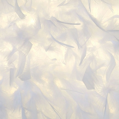Feather White Hanging Light Fixtures Modern Chandelier Pendant Light for Bedroom