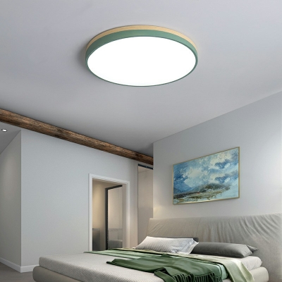 Green and Gray Flush Mount Light Fixtures Metal Modern Close to Ceiling Lamp for Living Room