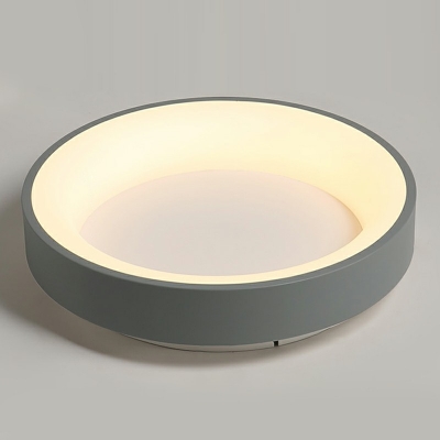 Minimalism 1-Light Metal Flush Mount Lights LED Flushmount Lighting