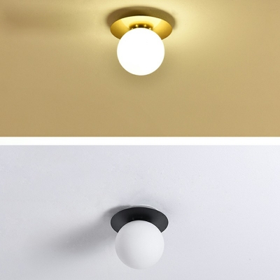 1-Light Flush Mount Lights Traditional Style Globe Shape Metal Ceiling Mounted Fixture
