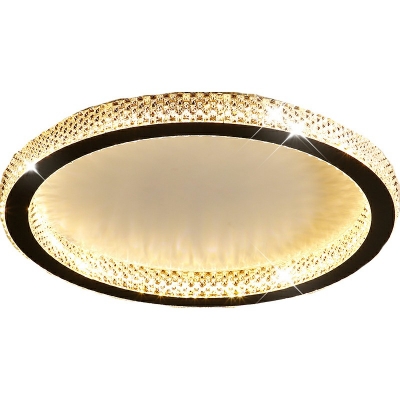 LED Flush Mount Ceiling Lighting Fixture Modern Minimalist Round Close to Ceiling Lamp for Bedroom
