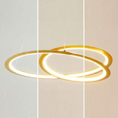 1-Light Chandelier Lighting Minimal Style Ring Shape Metal Third Gear Light Hanging Lamp