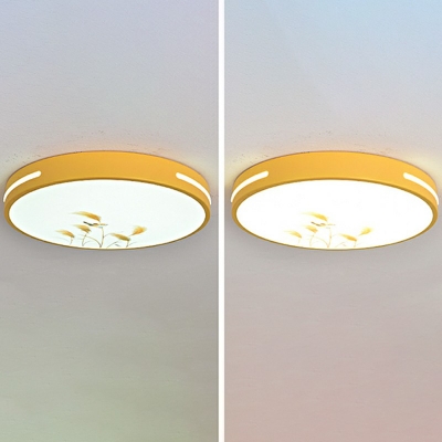 Modern Round Flush Mount Light LED Ceiling Mount Lighting with Acrylic Shade